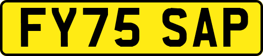 FY75SAP