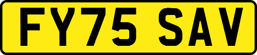 FY75SAV