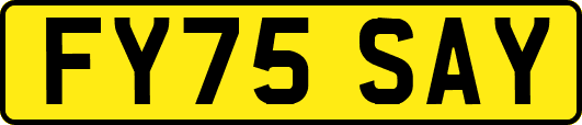 FY75SAY