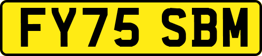 FY75SBM