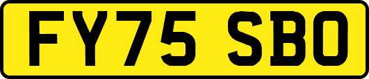 FY75SBO