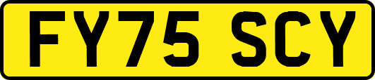 FY75SCY