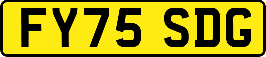 FY75SDG