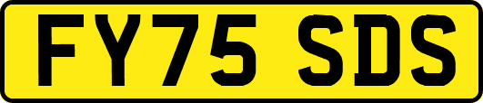 FY75SDS