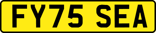 FY75SEA