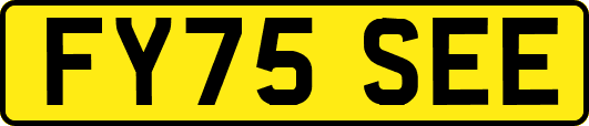 FY75SEE