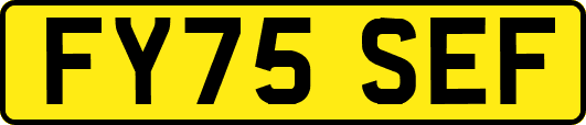 FY75SEF