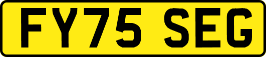 FY75SEG