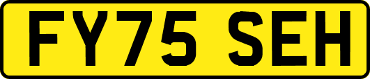 FY75SEH
