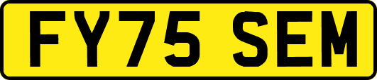 FY75SEM
