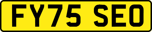 FY75SEO