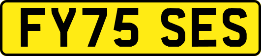 FY75SES