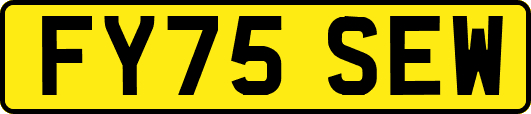 FY75SEW