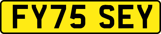 FY75SEY