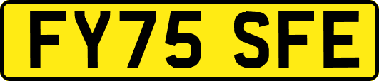 FY75SFE