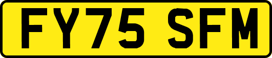 FY75SFM