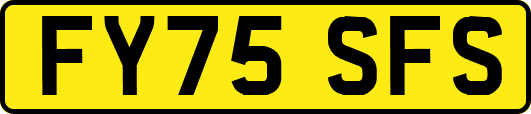 FY75SFS