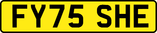 FY75SHE