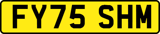 FY75SHM