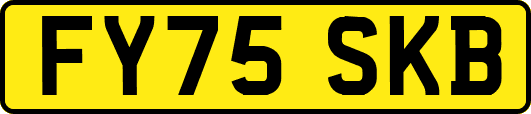 FY75SKB