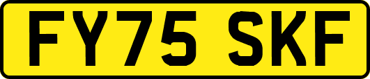 FY75SKF