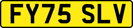 FY75SLV