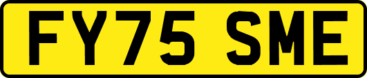 FY75SME