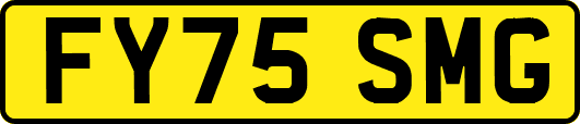 FY75SMG