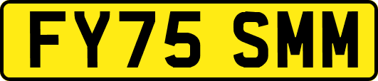 FY75SMM