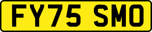 FY75SMO