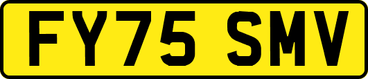 FY75SMV