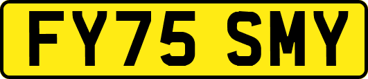 FY75SMY