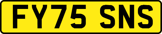 FY75SNS