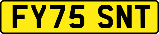 FY75SNT