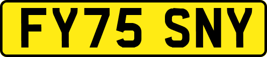 FY75SNY