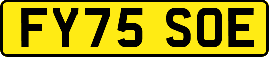 FY75SOE