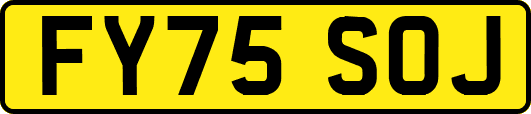 FY75SOJ