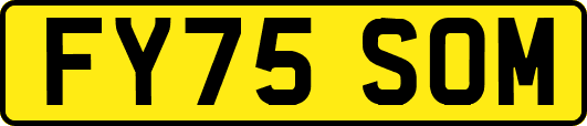 FY75SOM