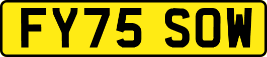 FY75SOW