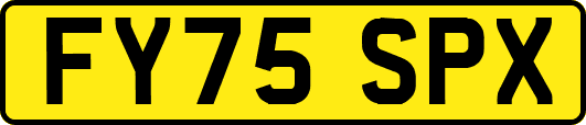 FY75SPX