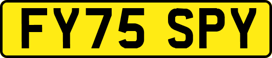 FY75SPY