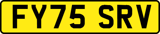 FY75SRV