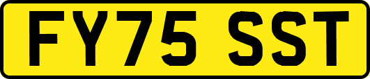 FY75SST