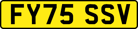 FY75SSV