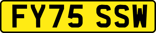 FY75SSW