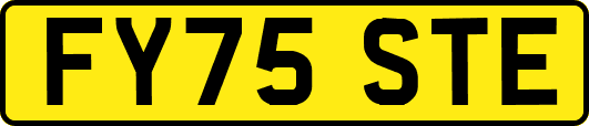 FY75STE