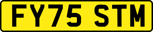 FY75STM
