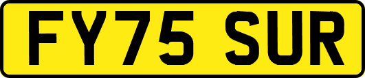 FY75SUR