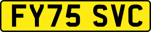FY75SVC