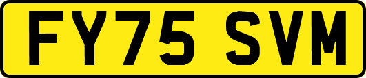 FY75SVM